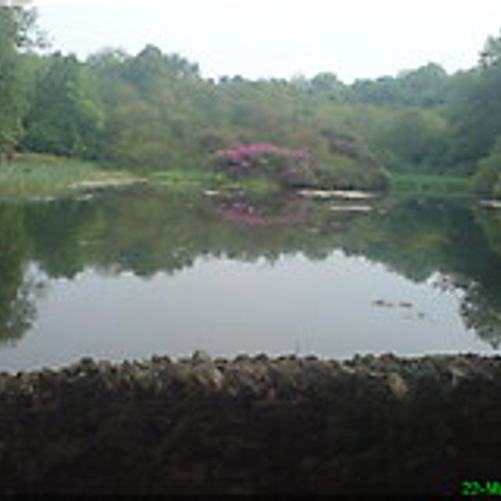 812383_089992f9_213x160.jpg