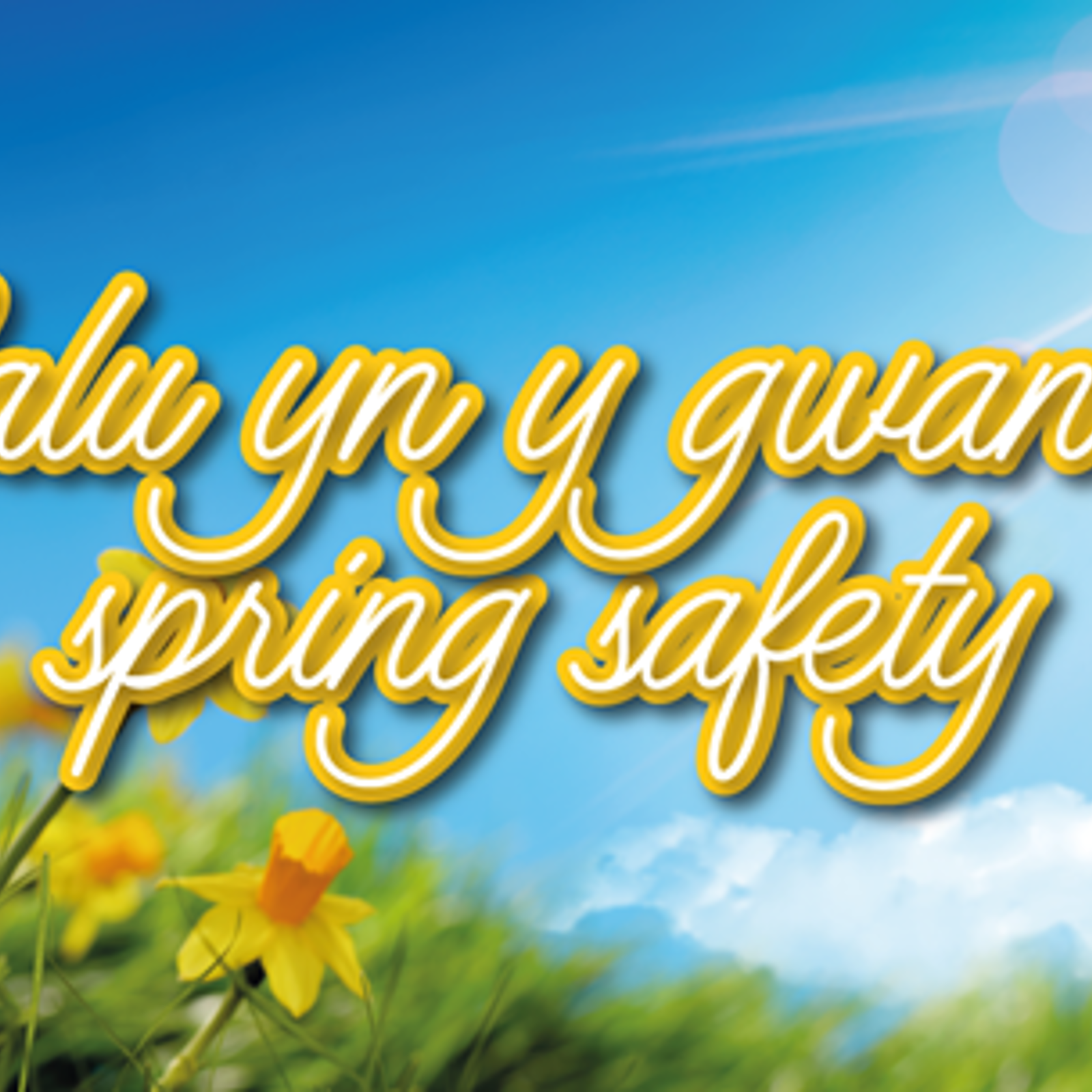 spring-safety.png