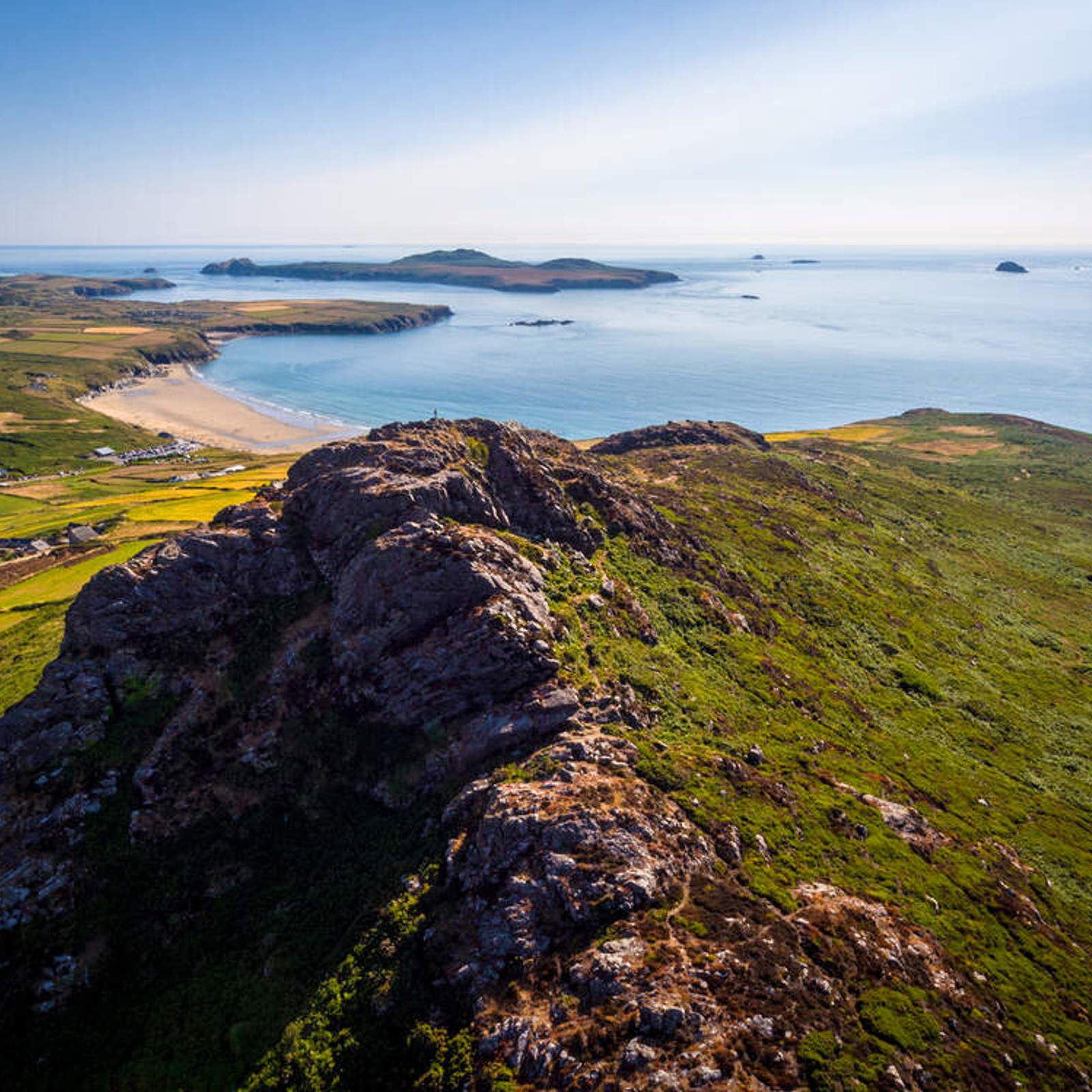 st-davids-head.jpg