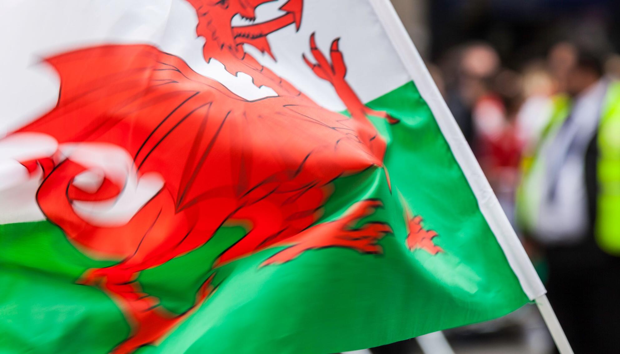 stdd_01_fly_the_draig_web_2560x1920px_.jpg