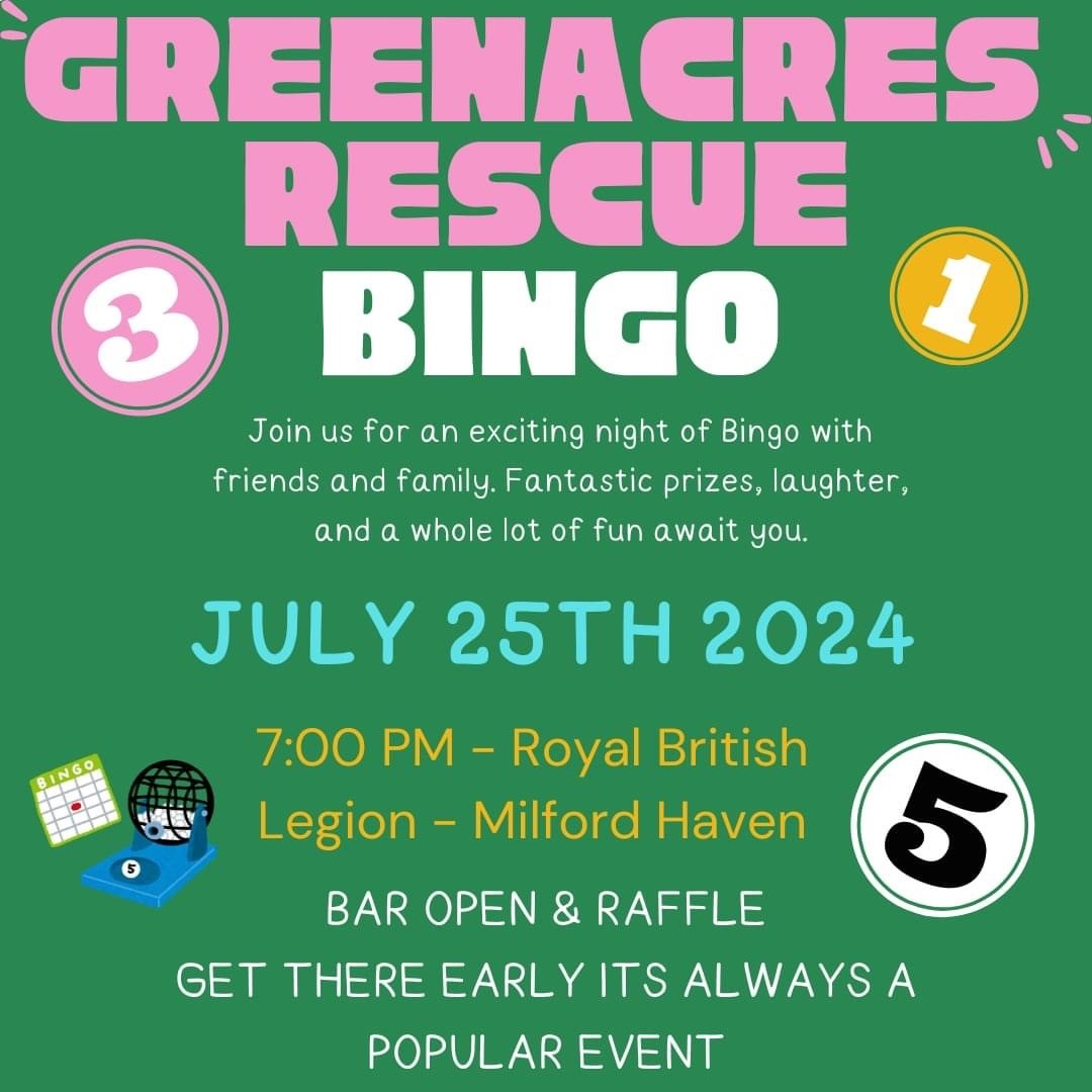 bingo.jpg