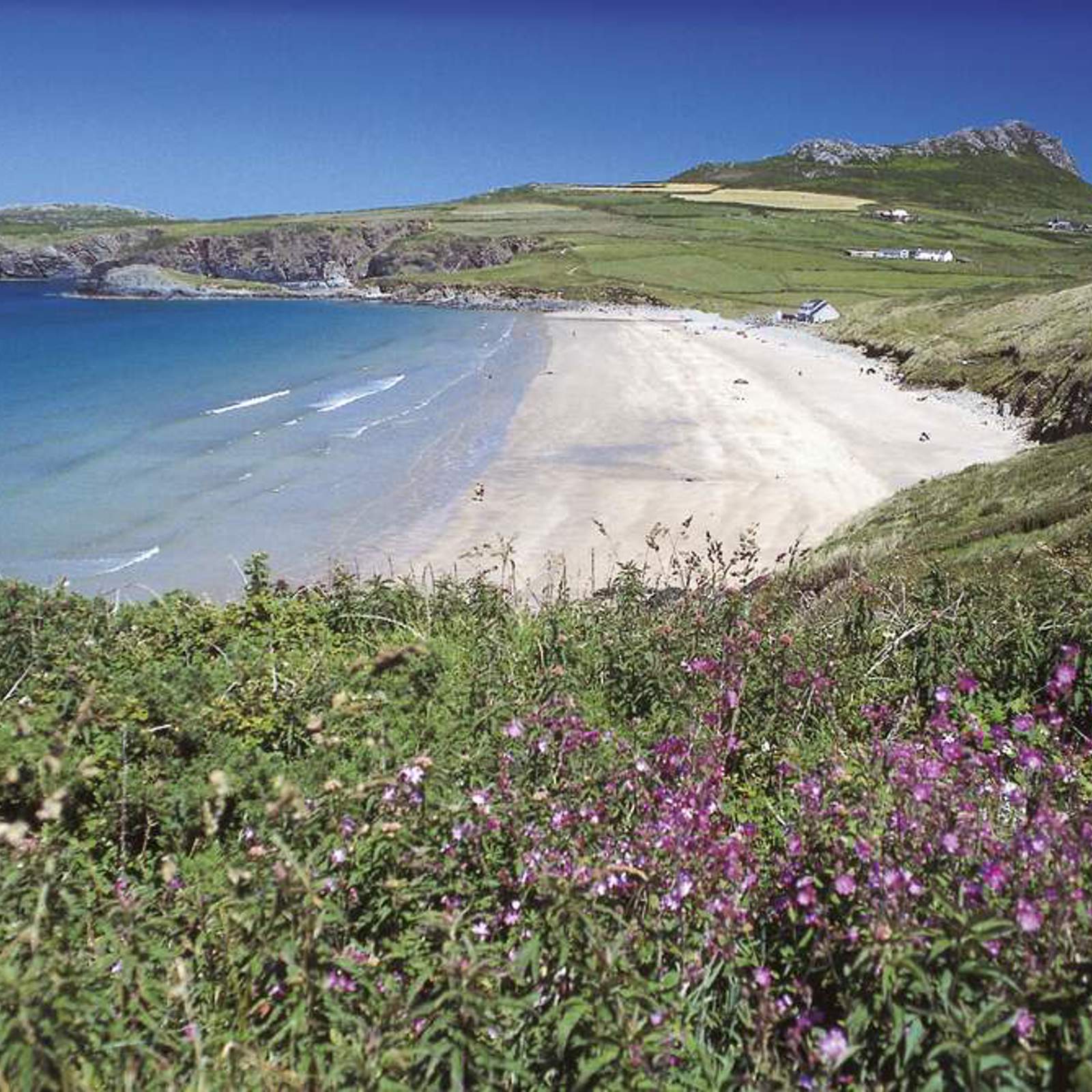 whitesands.jpg