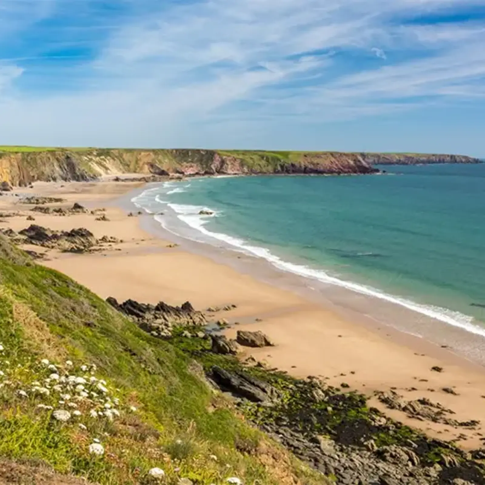 National Park Authority Issues Clarification On Article 4