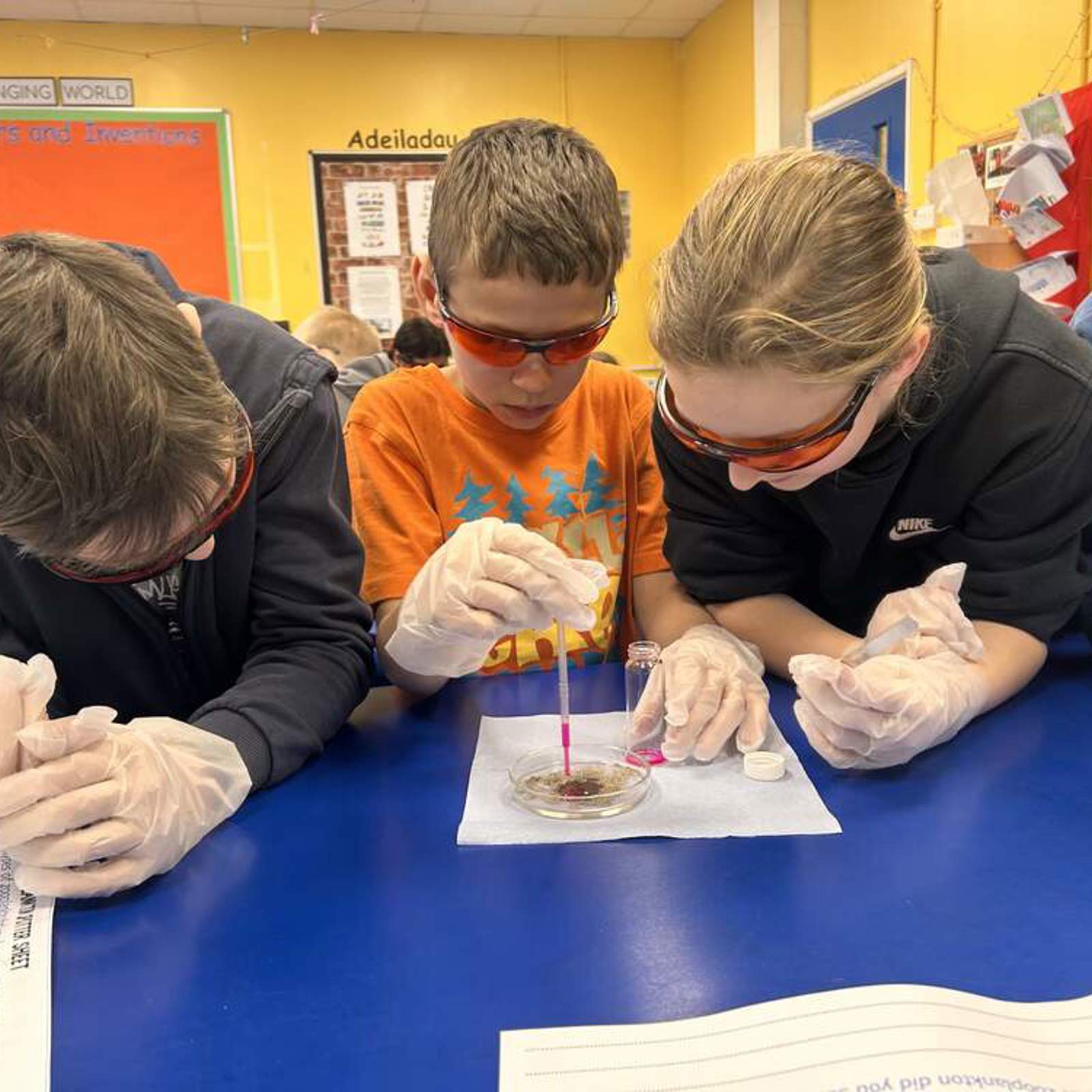 holyname-pupils-staining-their-sand-samples-from-newport-sands.jpg