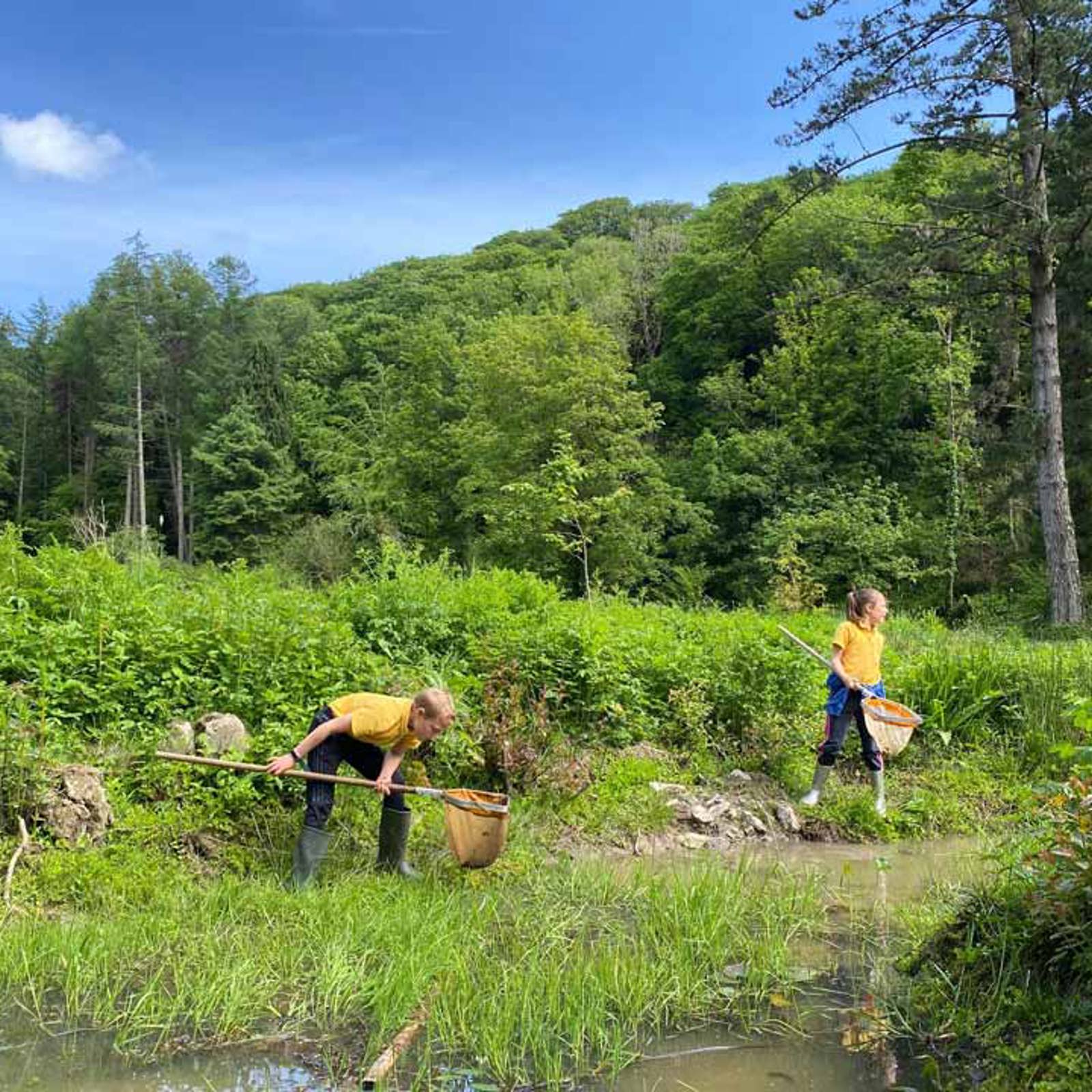 pond-dipping-3-1.jpg