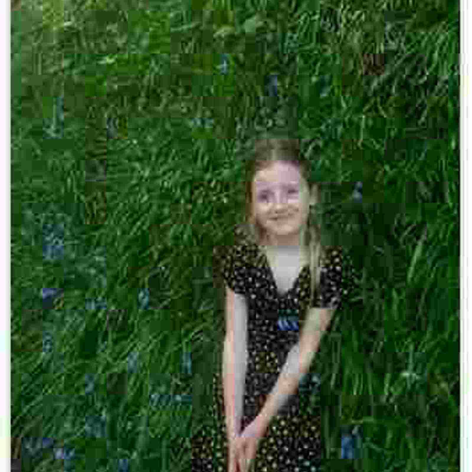 Image002 (31)