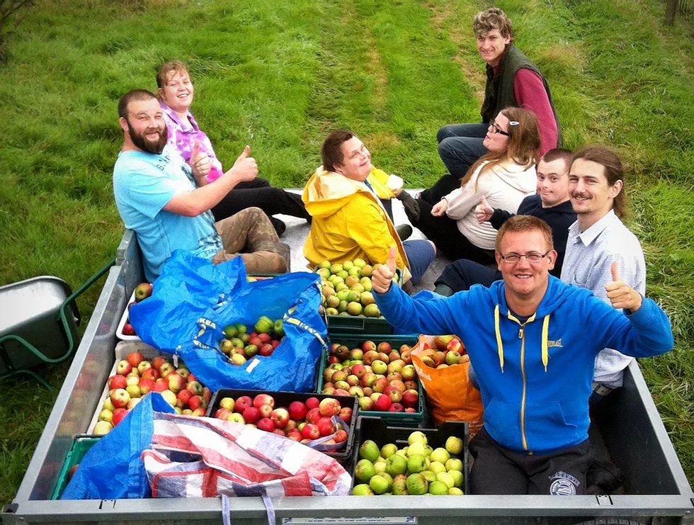 clynfyw_harvesting-apples-copy.jpeg
