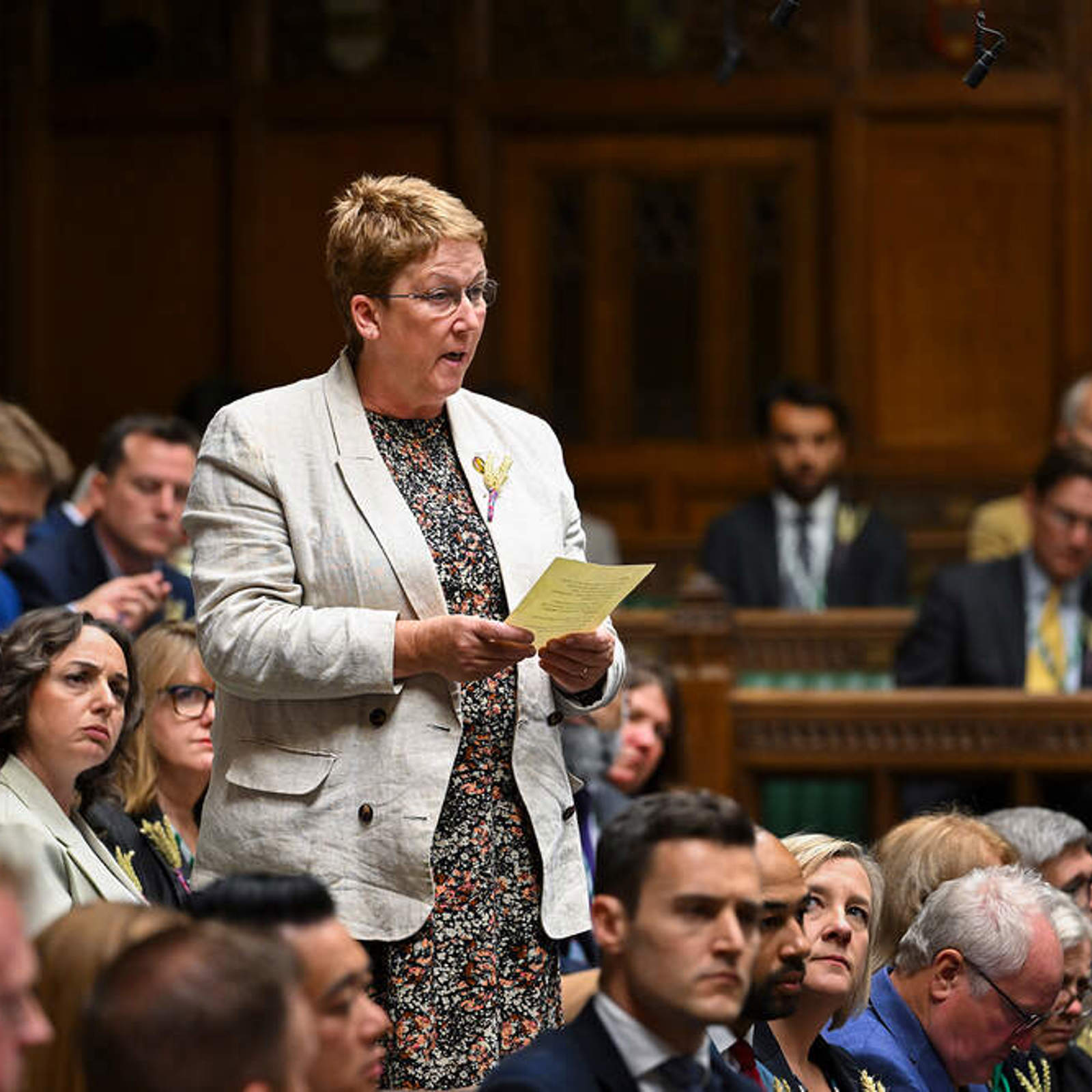 ann-davies-mp-caerfyrddin-plaid-cymru.jpg