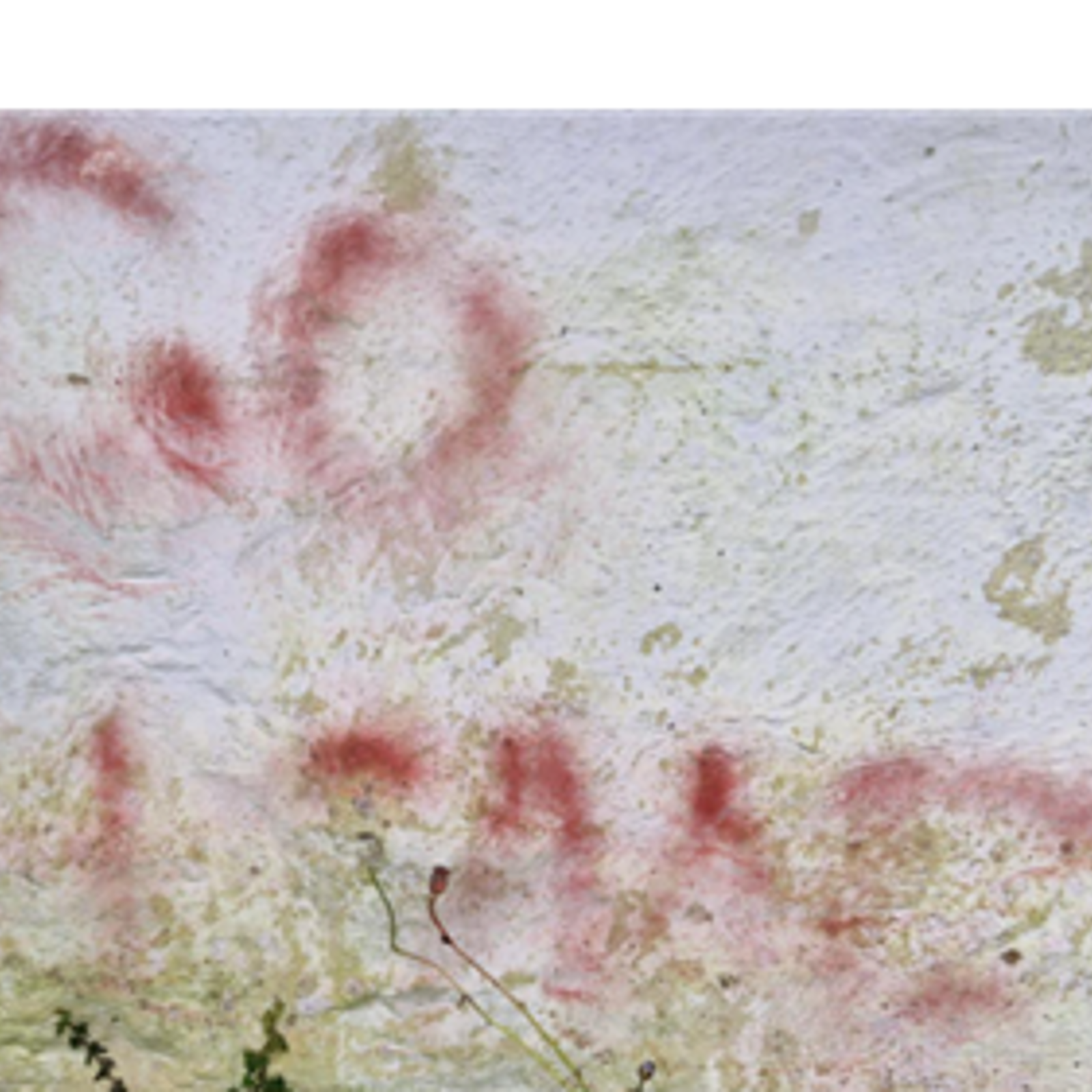 hate-incident-graffiti-image.png