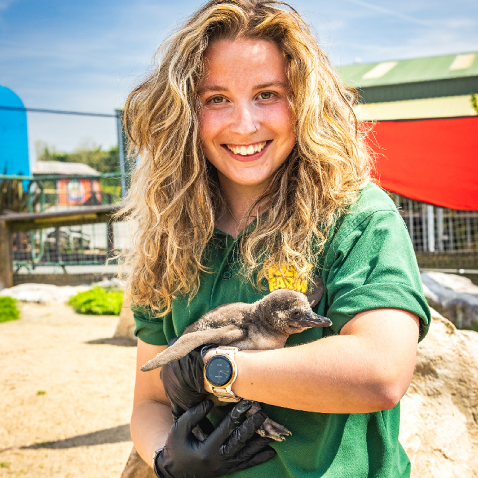 becky-with-young-chick-gorgonzola.png