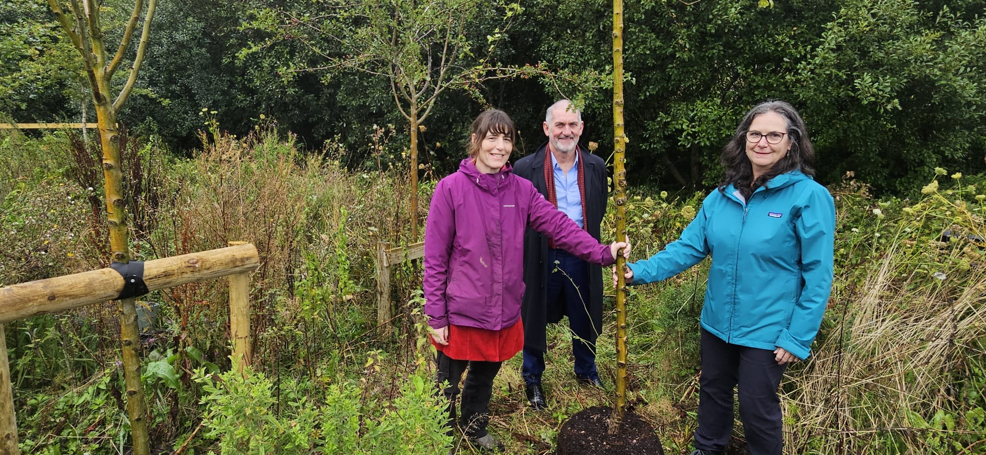 'Sanctuary in nature' opens at Withybush Hospital