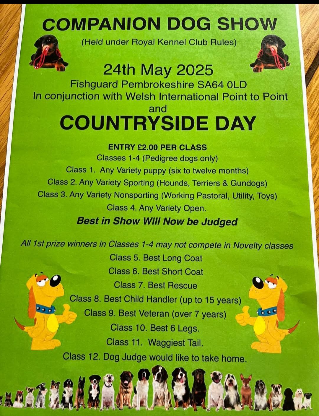 Companion Dog show, Fishguard, SA64 0LD, Saturday May 24th, Gates open 10am