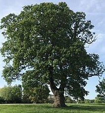 img_5580.jpg