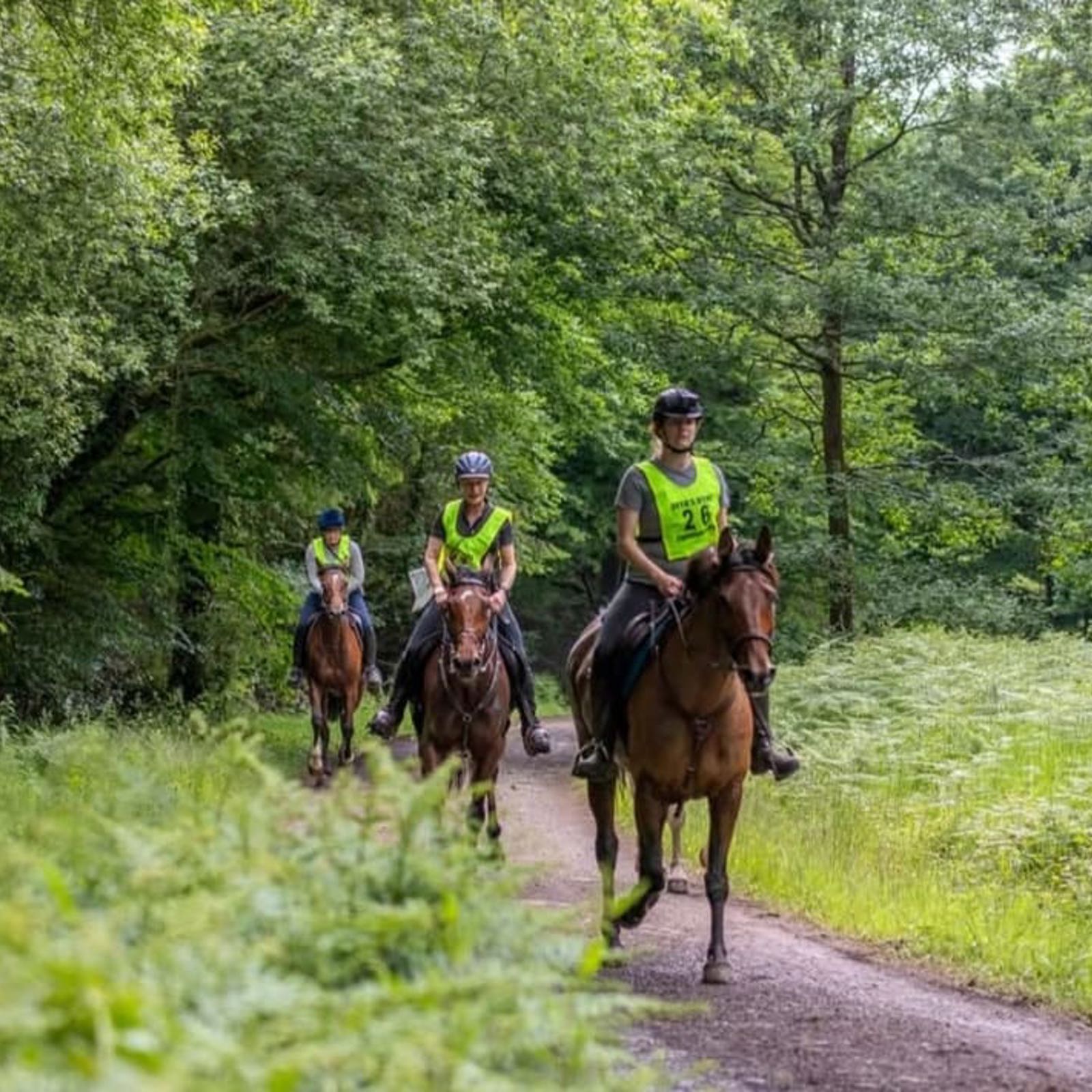 Endurance Riders Team Includes Bethan Lewis, Kayleigh Tonkins, Carol Jones, Karen Cadman