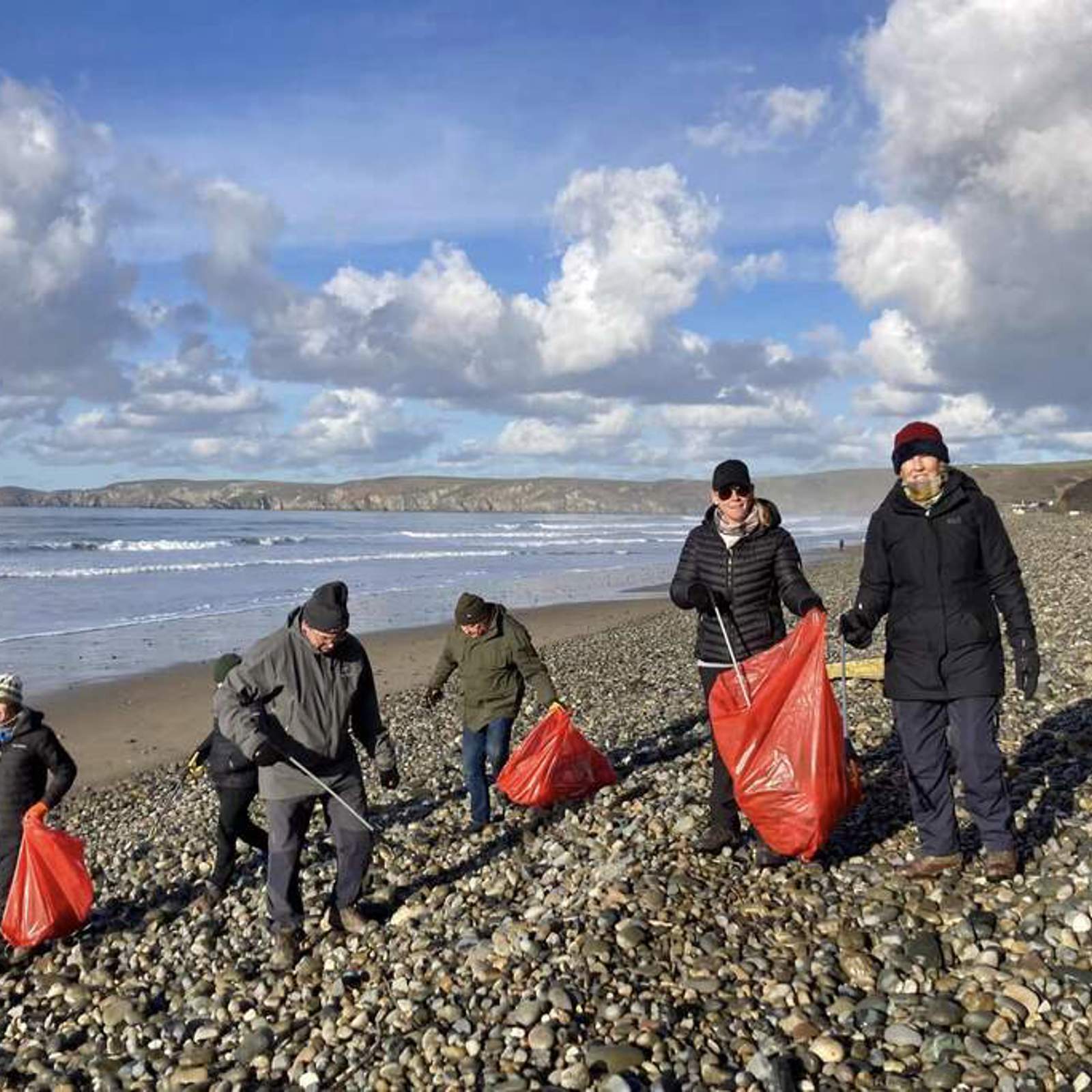 rootstorecovery14.jpg