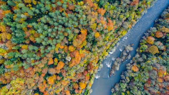 Welsh Water call for “Less concrete, more nature” to drive river improvements