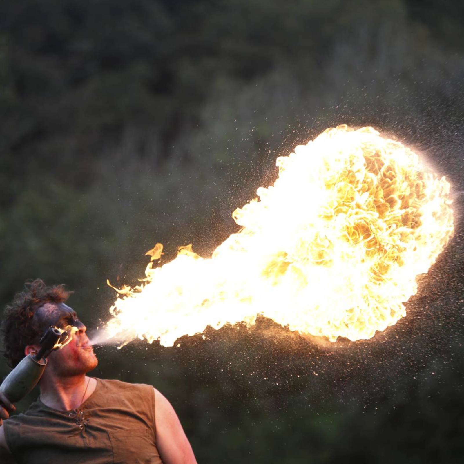 smallch-fire.jpg