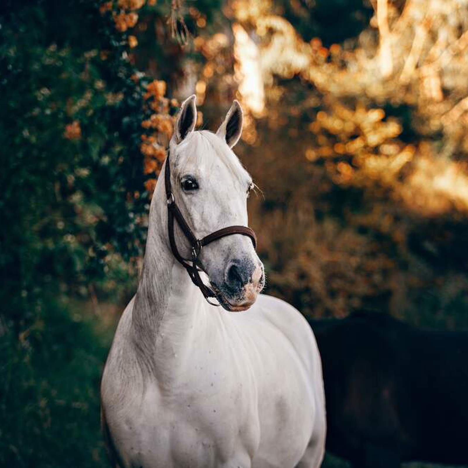 helena-lopes-rotyxo1m0wo-unsplash.jpg