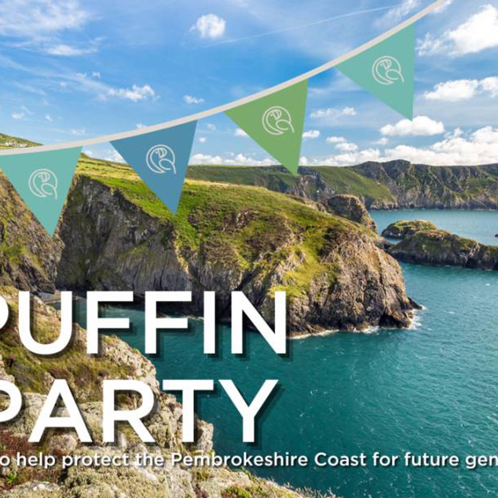 small-puffin-party-eng.jpg