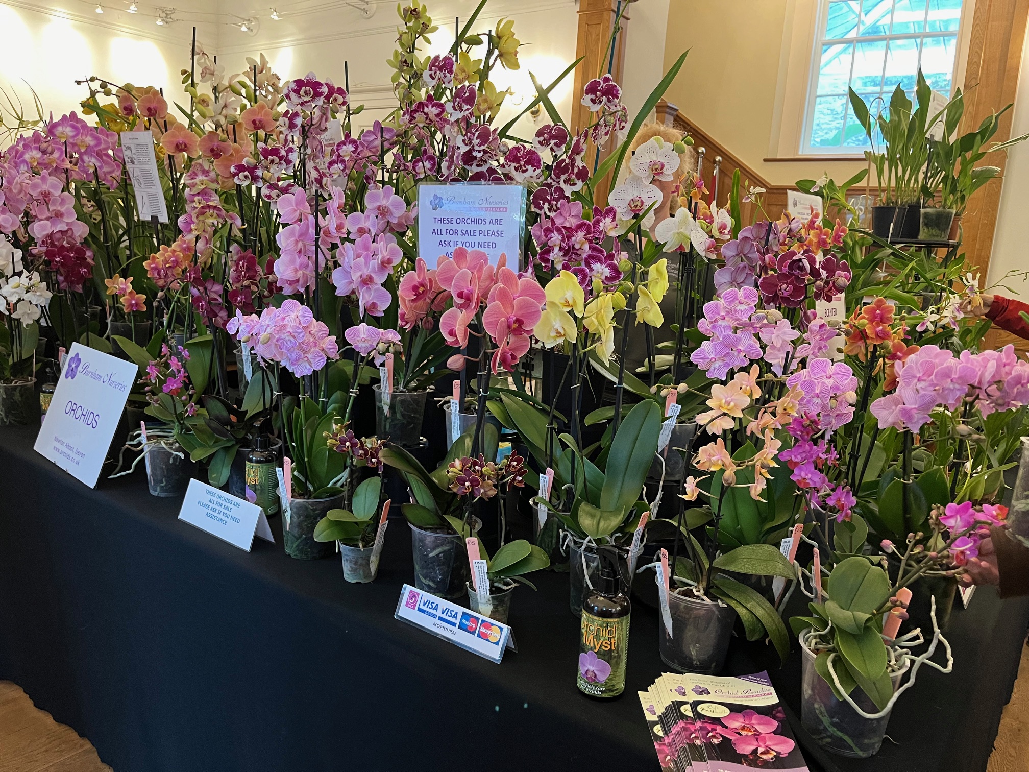 Welsh Orchid Festival