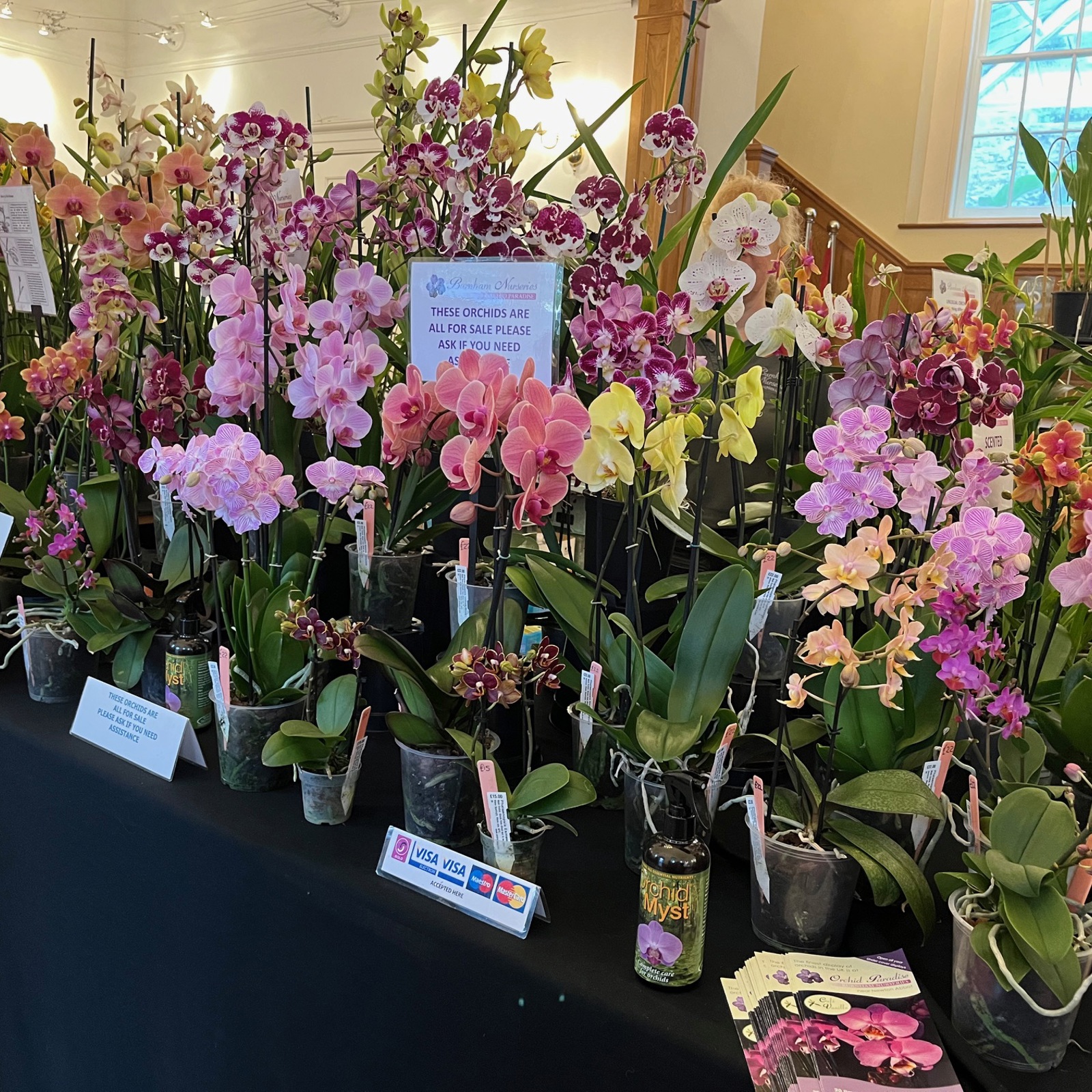 Welsh Orchid Festival