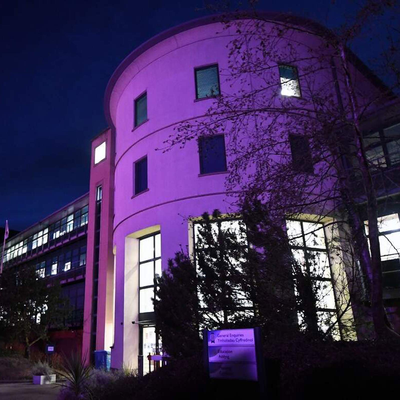 county-hall-purple.jpg