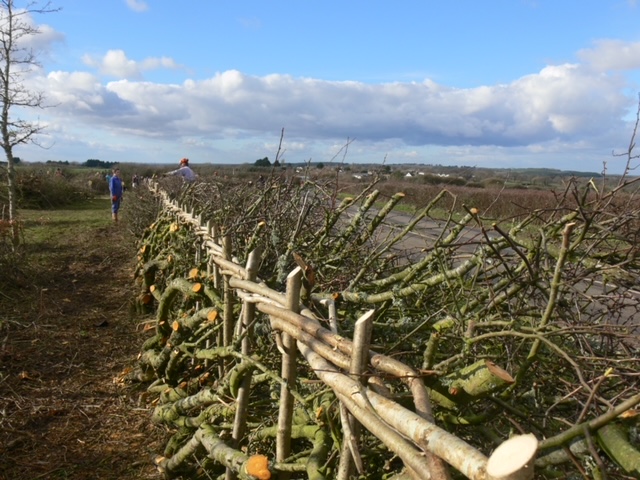 Grants available to restore Pembrokeshire's traditional boundaries