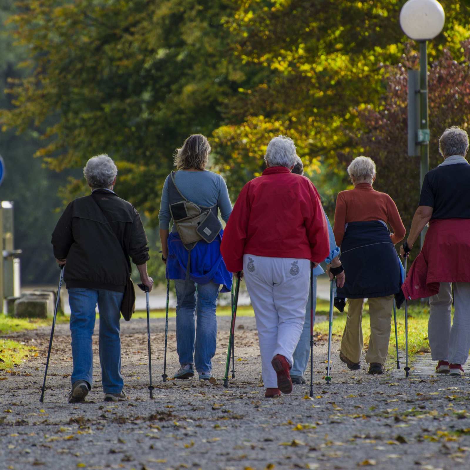 Nordicwalking (1)