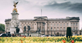 Buckingham Palace King Charles III Cancer diagnosis Pembrokeshire News United Kingdom 