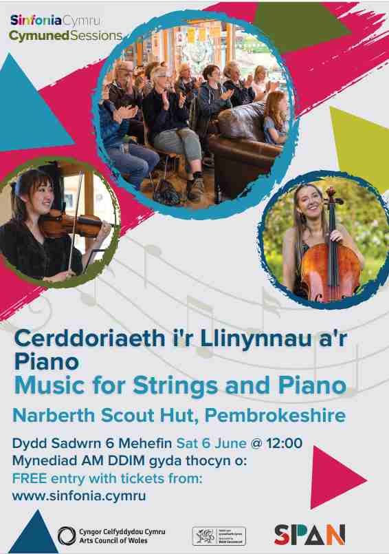 Sinfonia Cymru Share Size