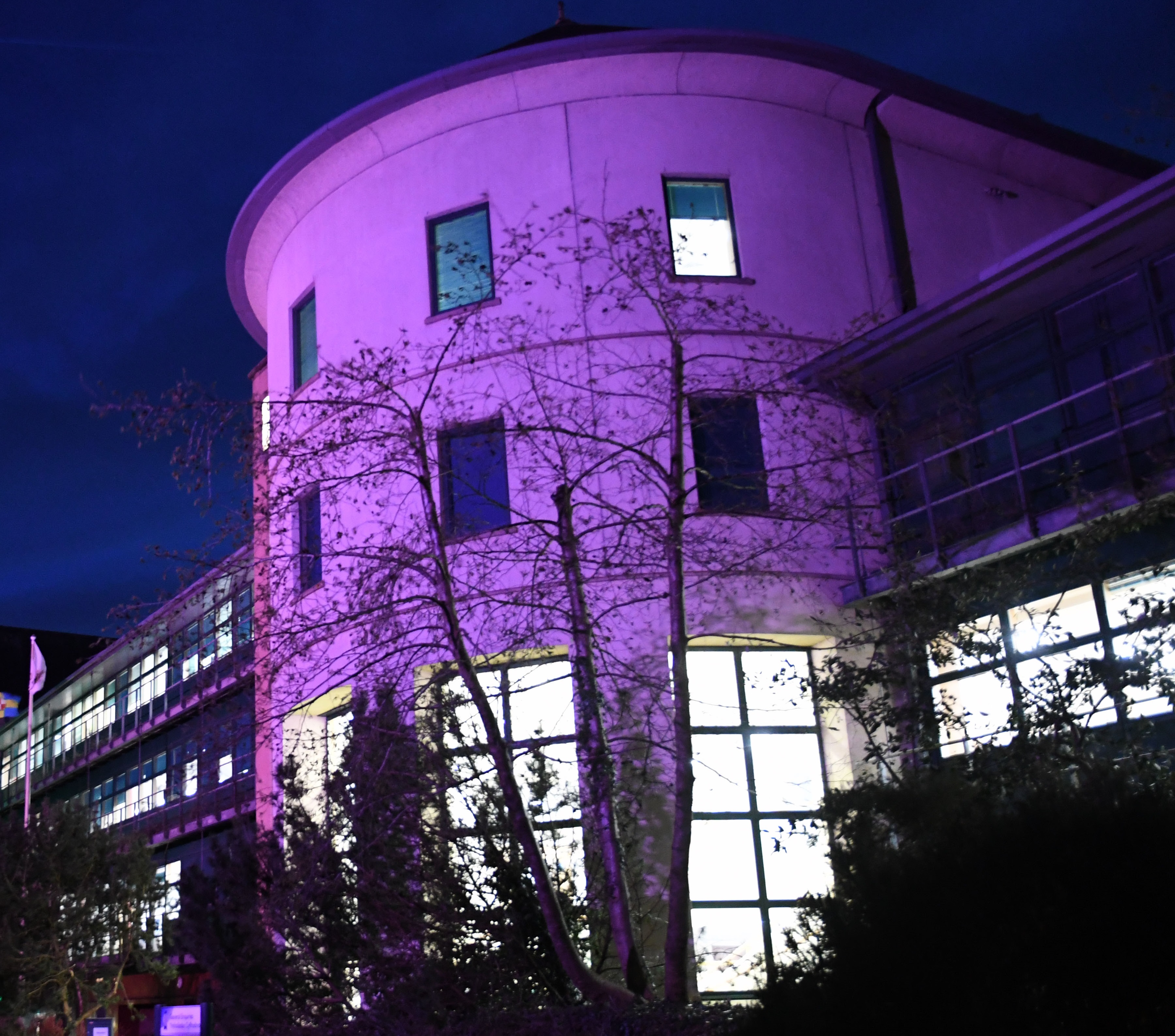 county-hall-purple.jpg