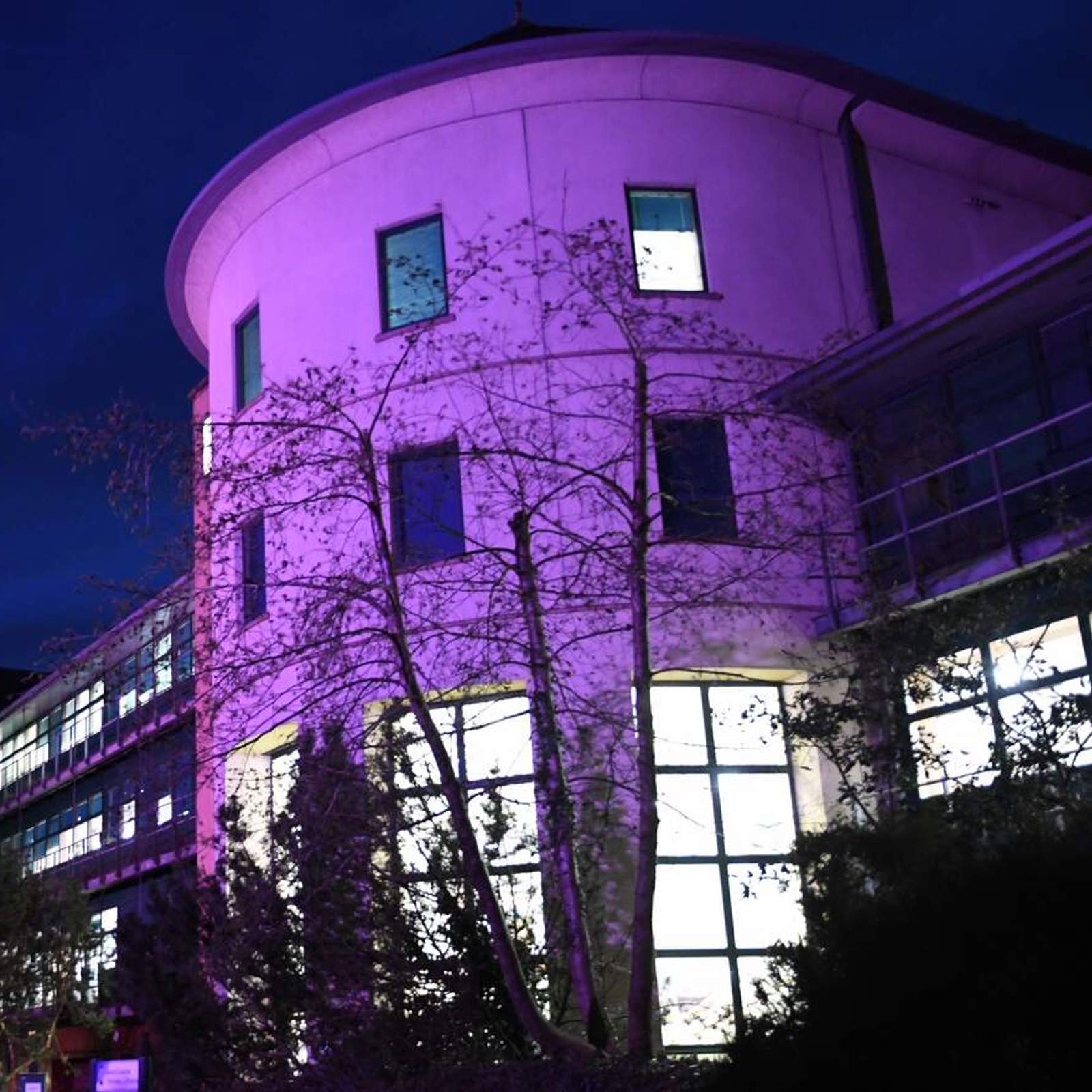 county-hall-purple.jpg