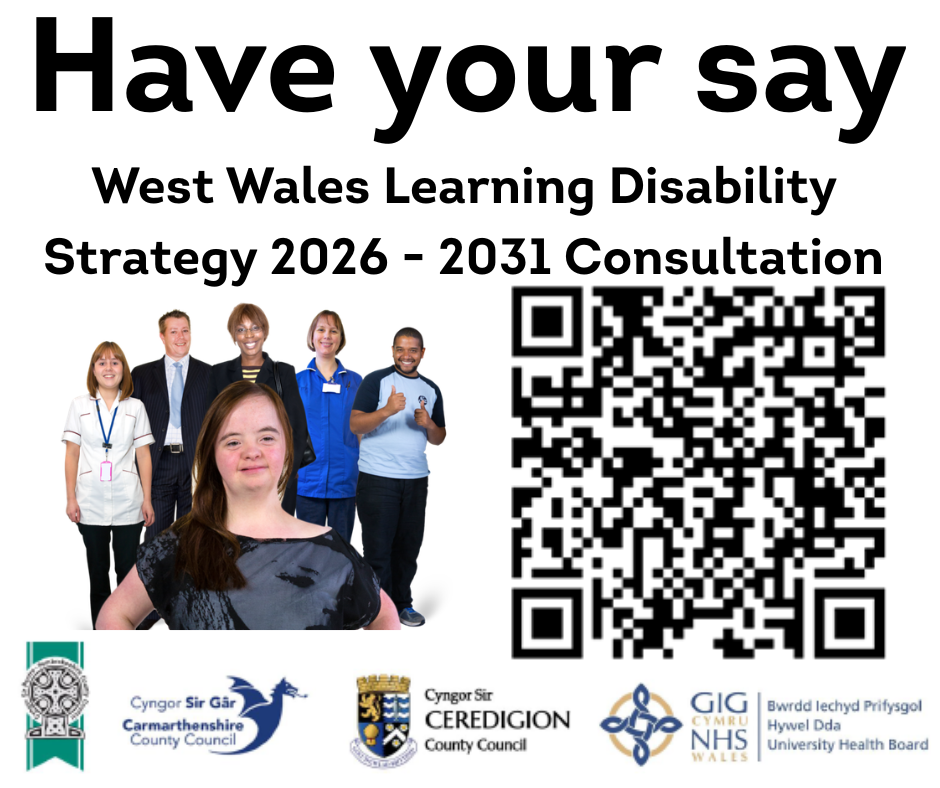 Have Your Say WWLD Strategy Consultation English FB