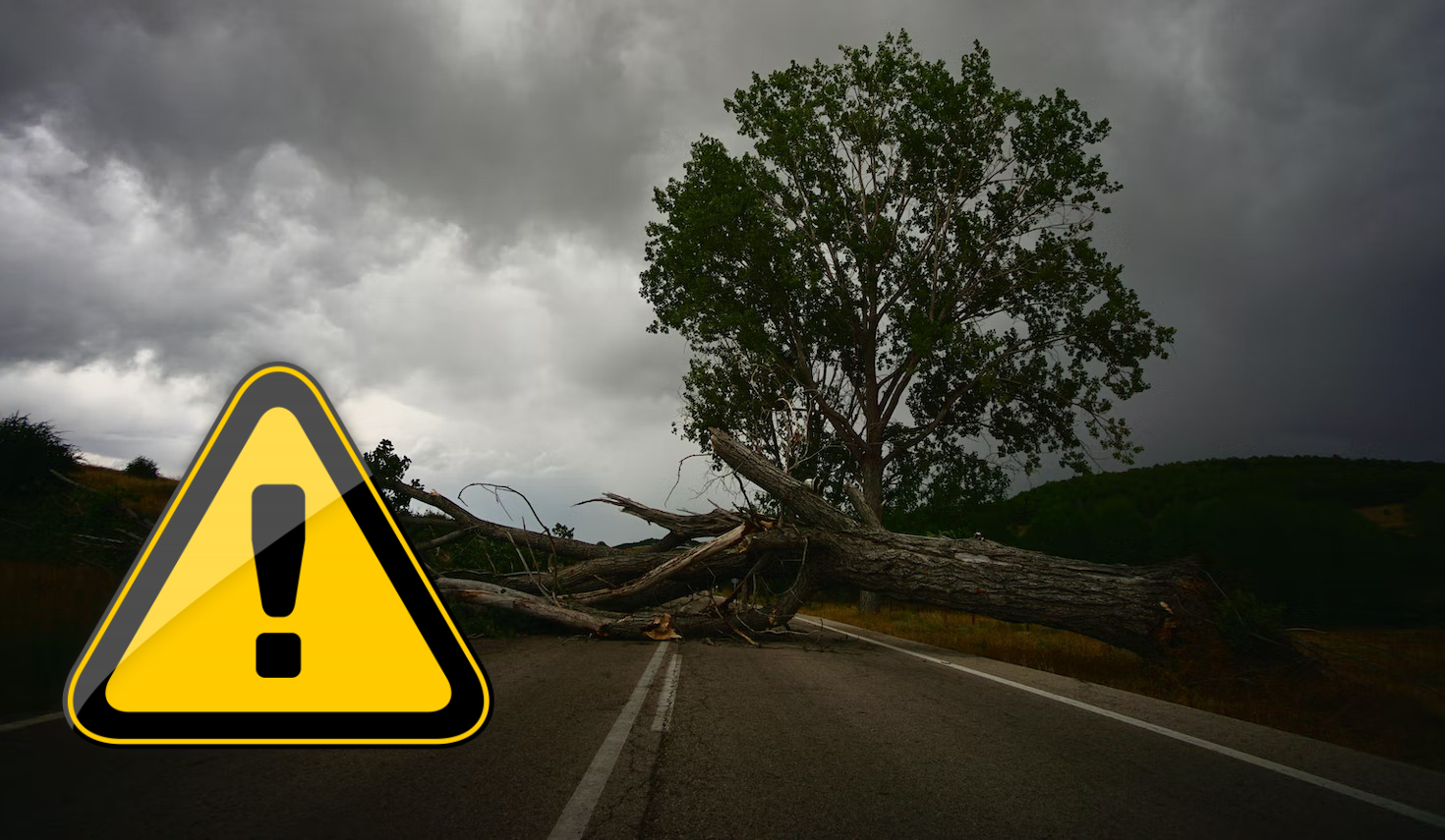 wind-warning2.png