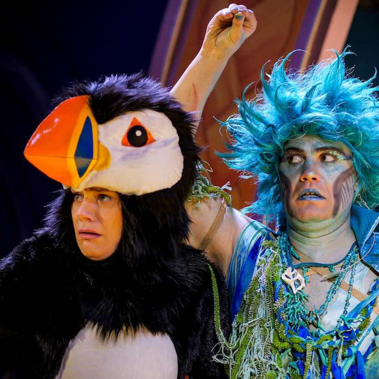 Puffin And Periwinkle