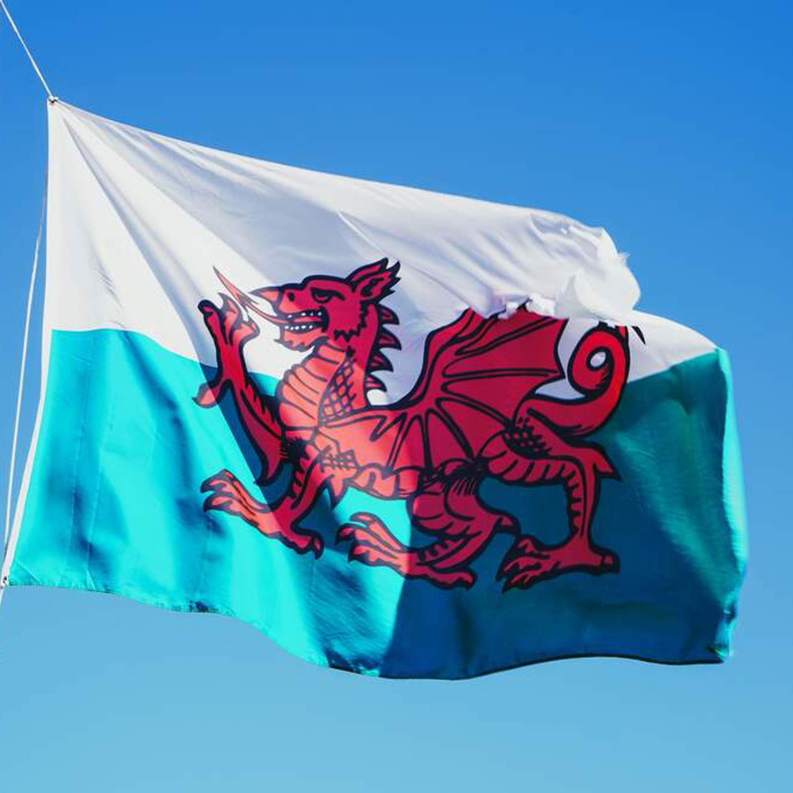 welsh-flag.jpg