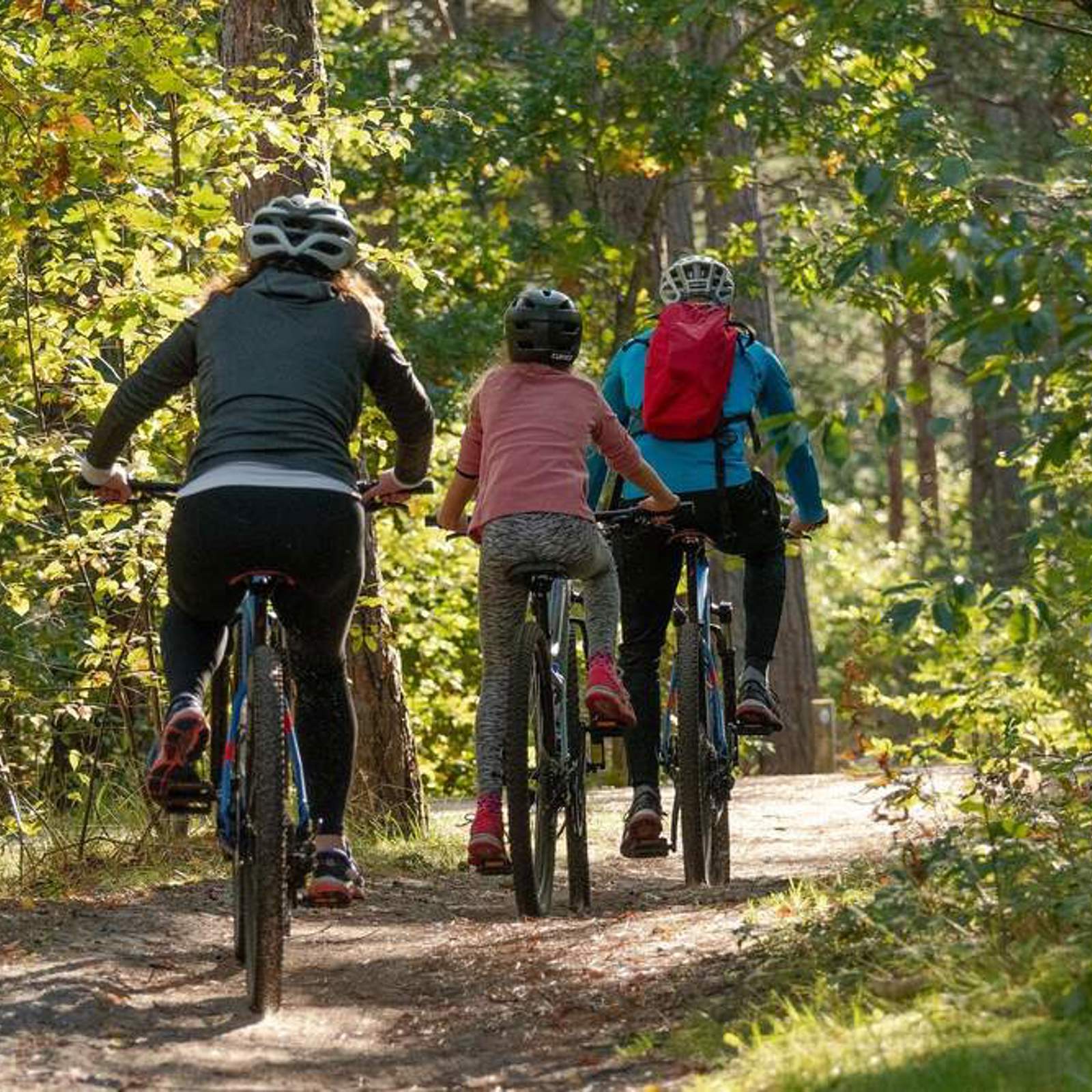 cycling-woodland.jpg