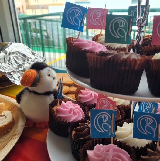 Puffin Party fundraising initiative returns for another year