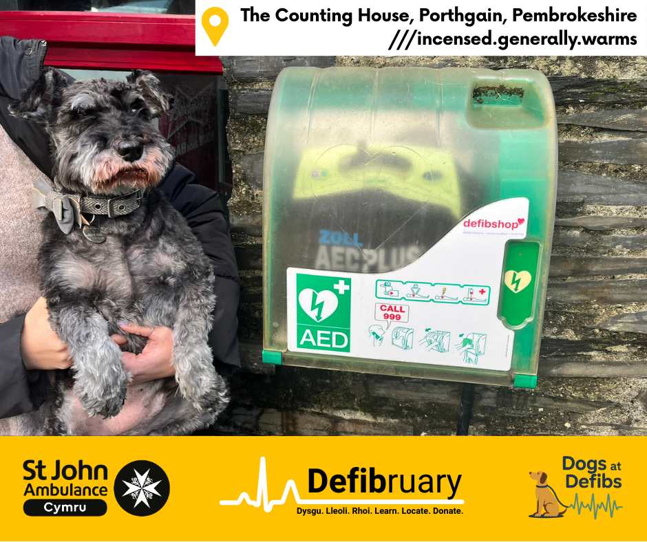 Dogs At Defibs Porthgain