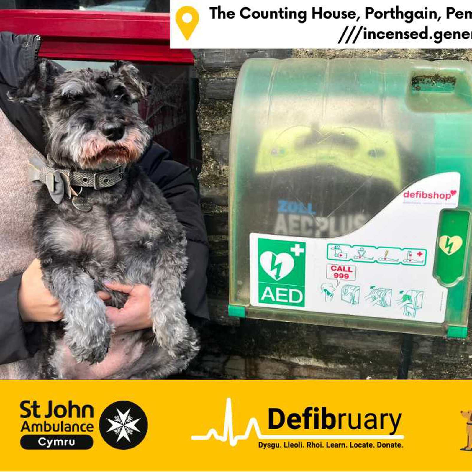 Dogs At Defibs Porthgain