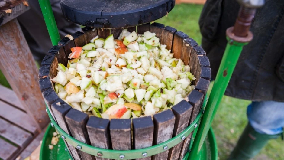 Apple Pressing 1