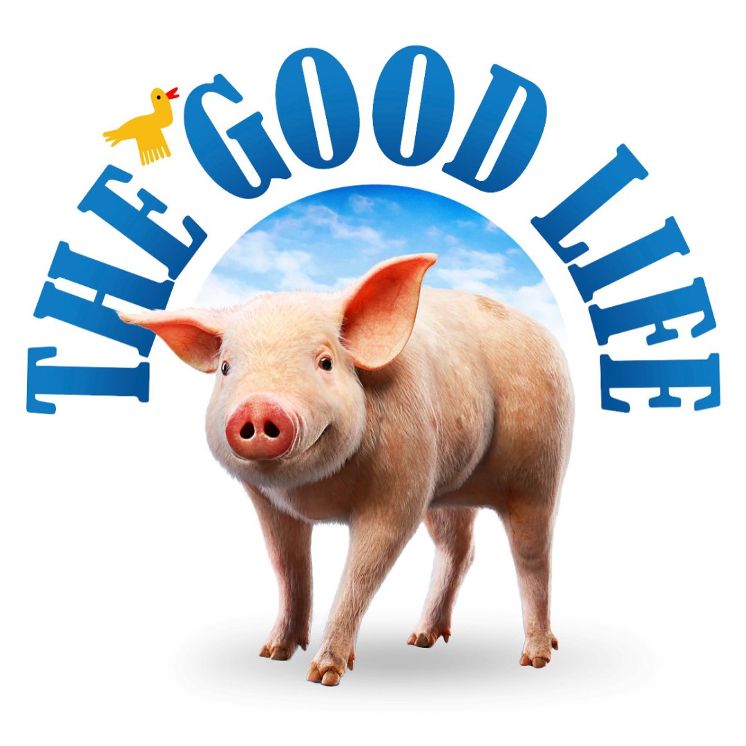 good-life.jpeg