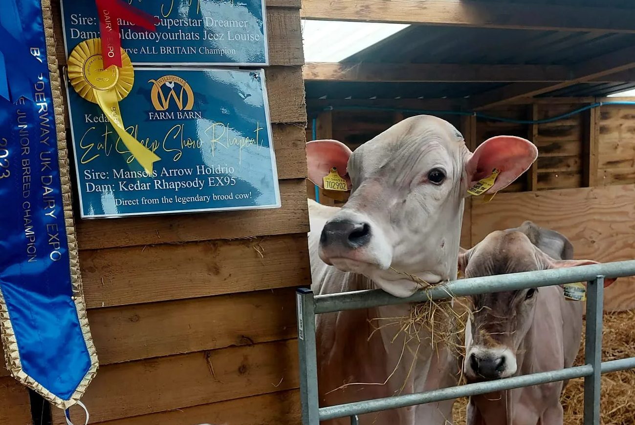 farm-e1703861866164.jpg