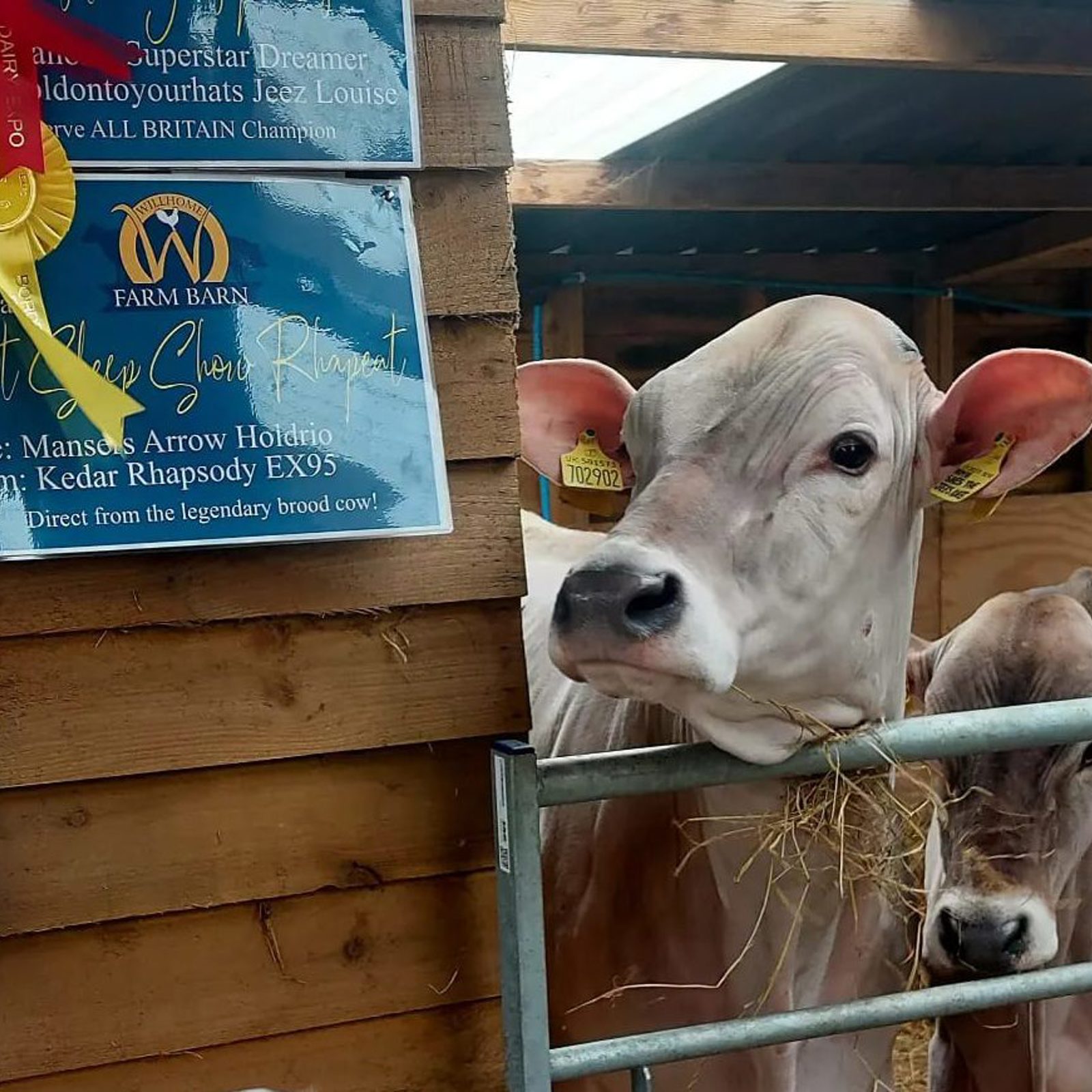 farm-e1703861866164.jpg