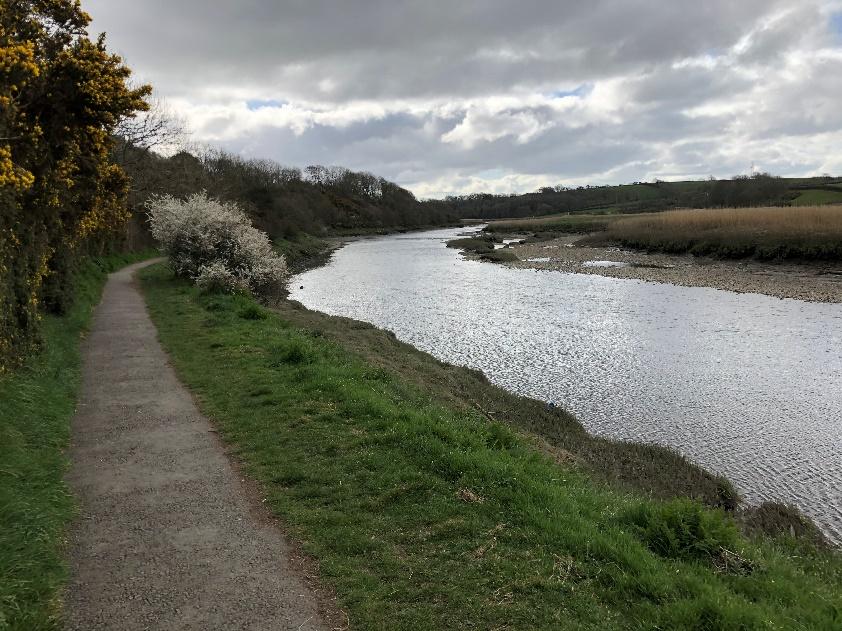 'Re-wilding' popular Pembrokeshire beauty spot is attracting rough sleepers, claim locals