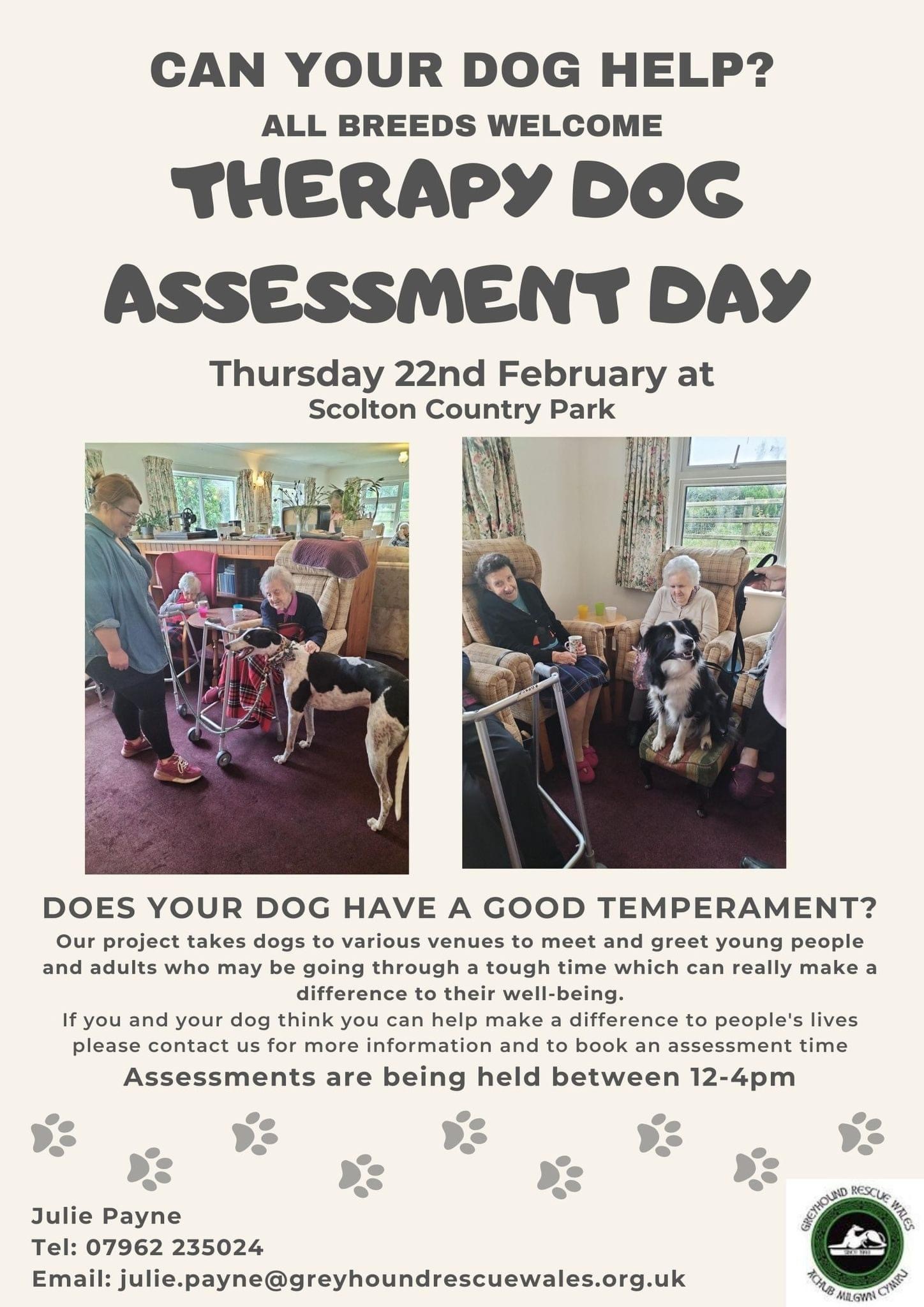 Therapy Dog, Haverfordwest