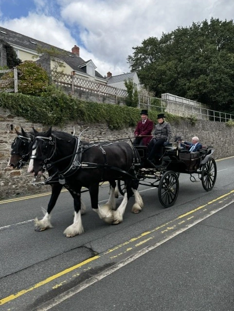 Shire Horses