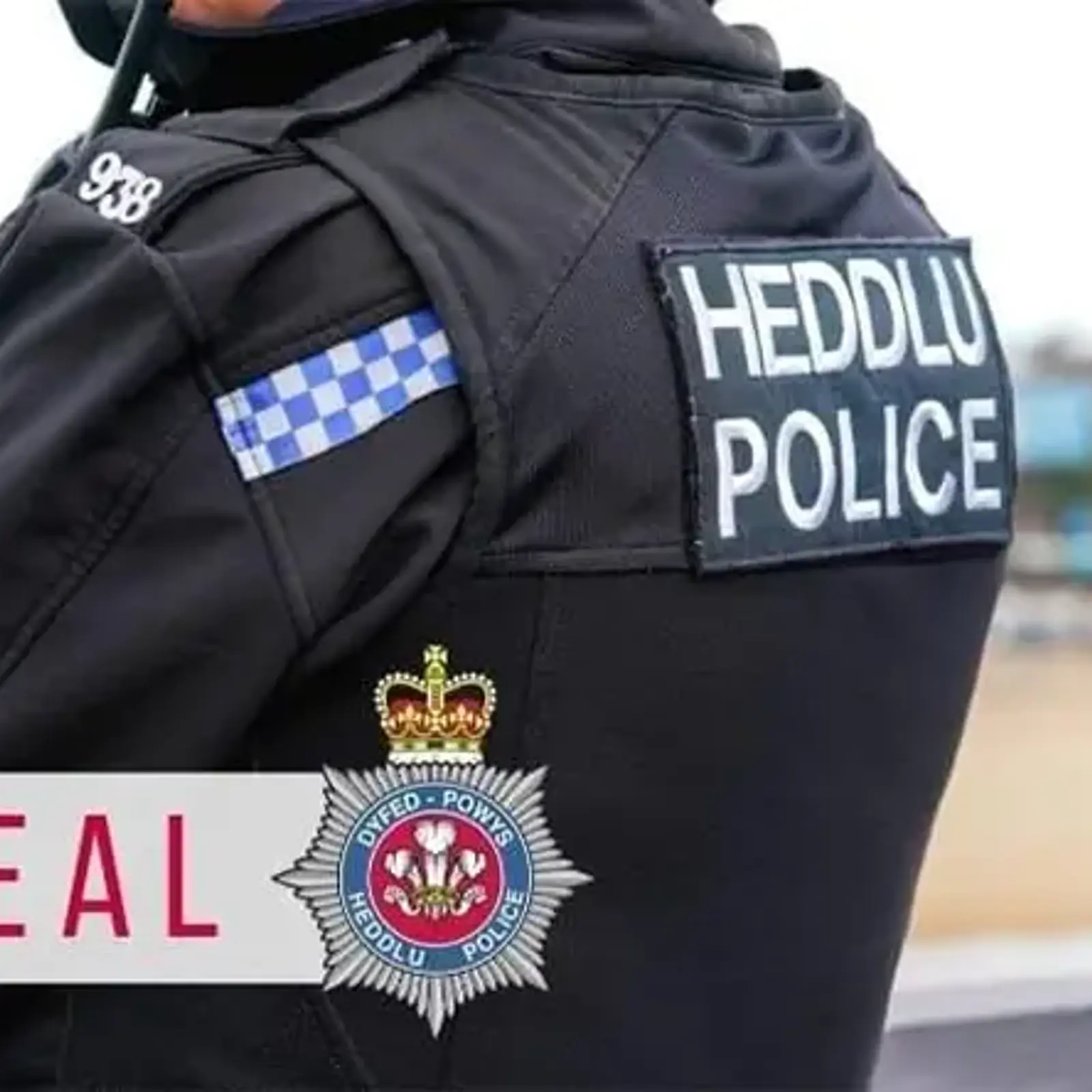 Police Are Investigating An Allegation Of Assault Which Occurred At About 11Pm